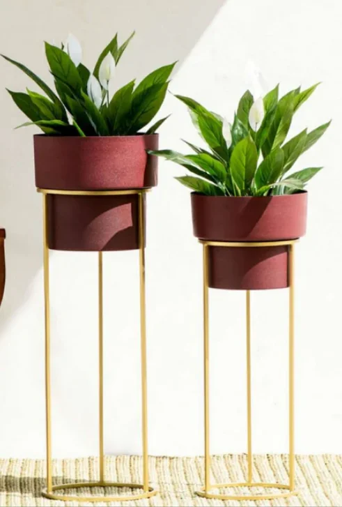 Florence Planter Set